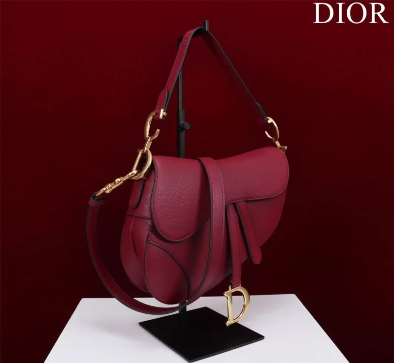 Christian Dior Saddle bags Functional 47208