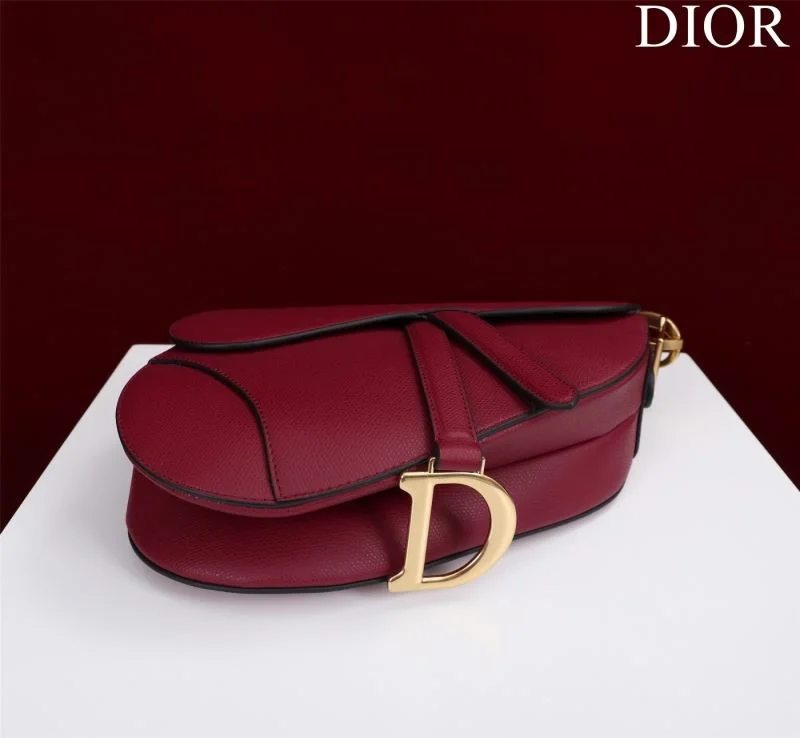 Christian Dior Saddle bags Functional 47208