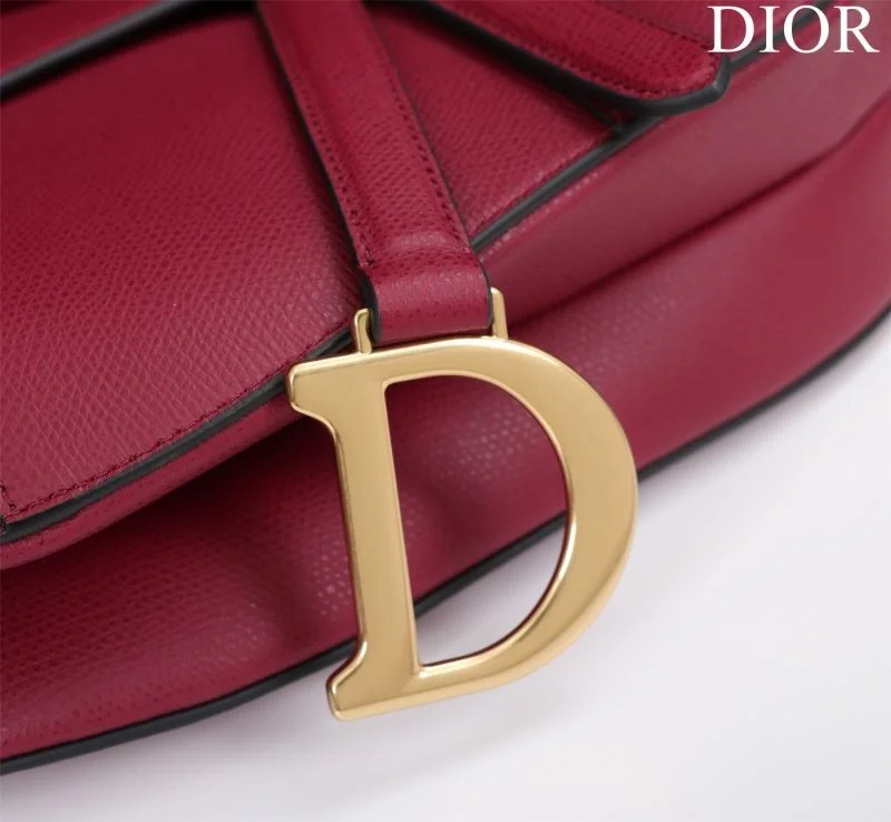 Christian Dior Saddle bags Functional 47208