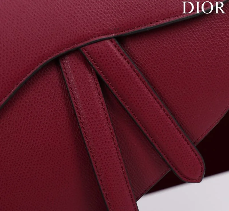 Christian Dior Saddle bags Functional 47208