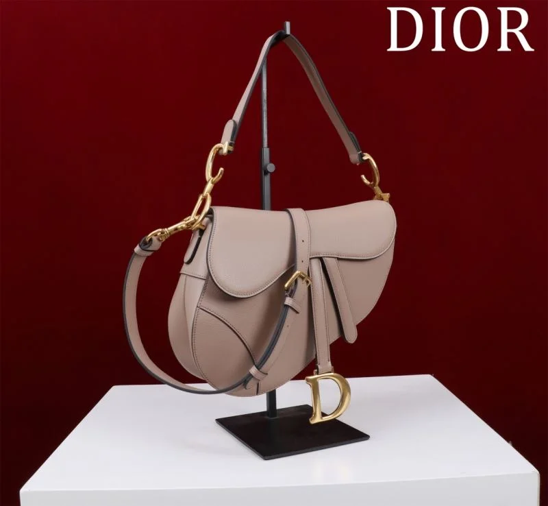 EasyCare Christian Dior Saddle bags 47204