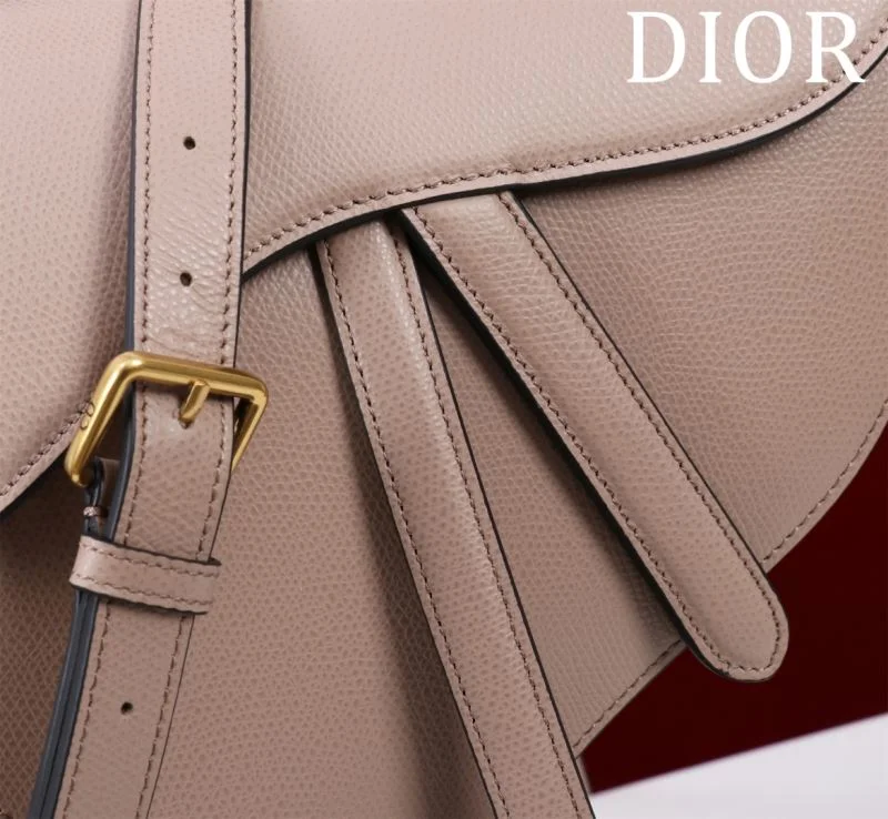 EasyCare Christian Dior Saddle bags 47204