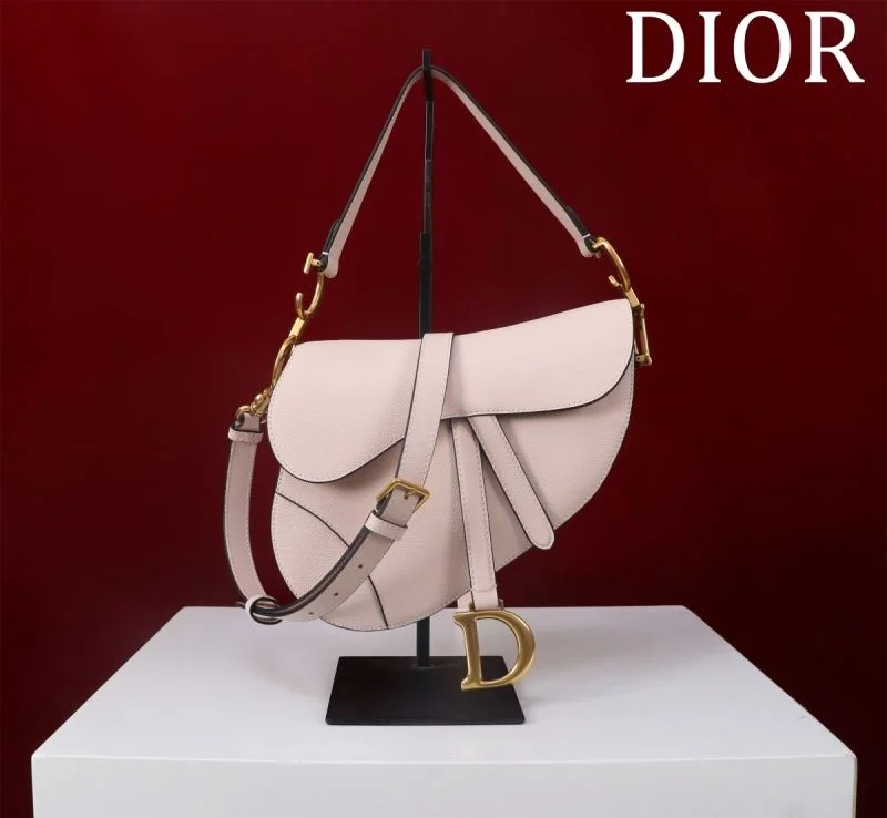 Christian Dior Saddle bags Vibrant 47207