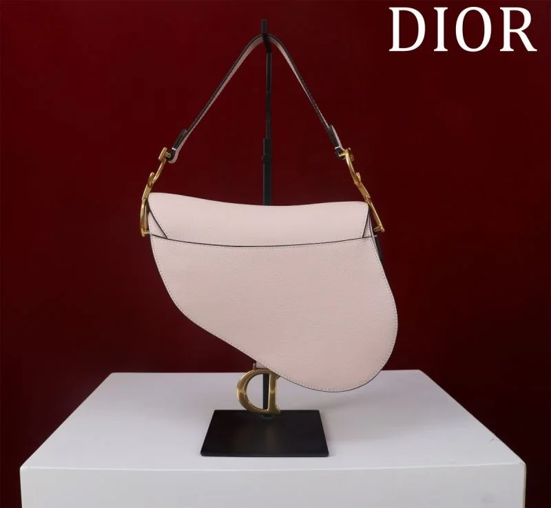 Christian Dior Saddle bags Vibrant 47207