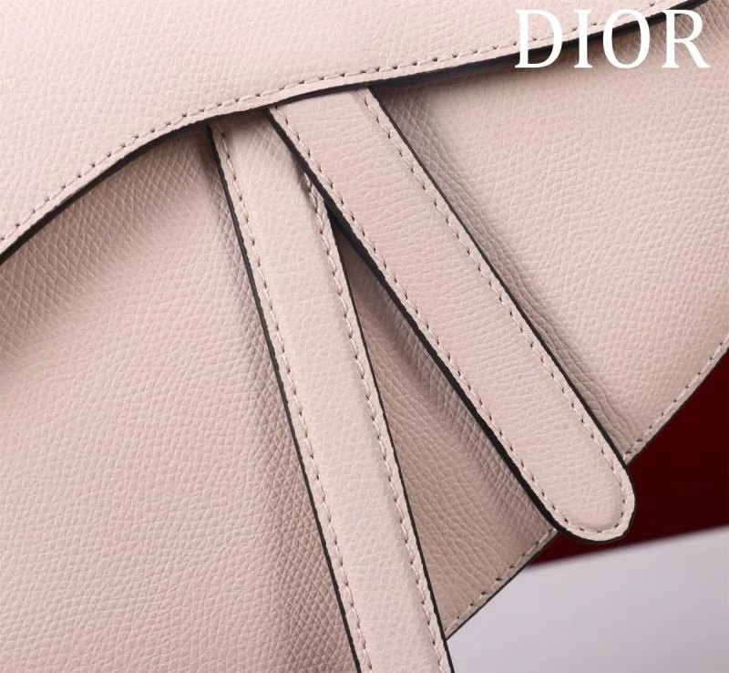 Christian Dior Saddle bags Vibrant 47207