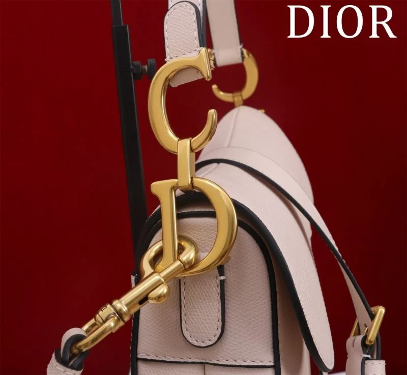 Christian Dior Saddle bags Vibrant 47207