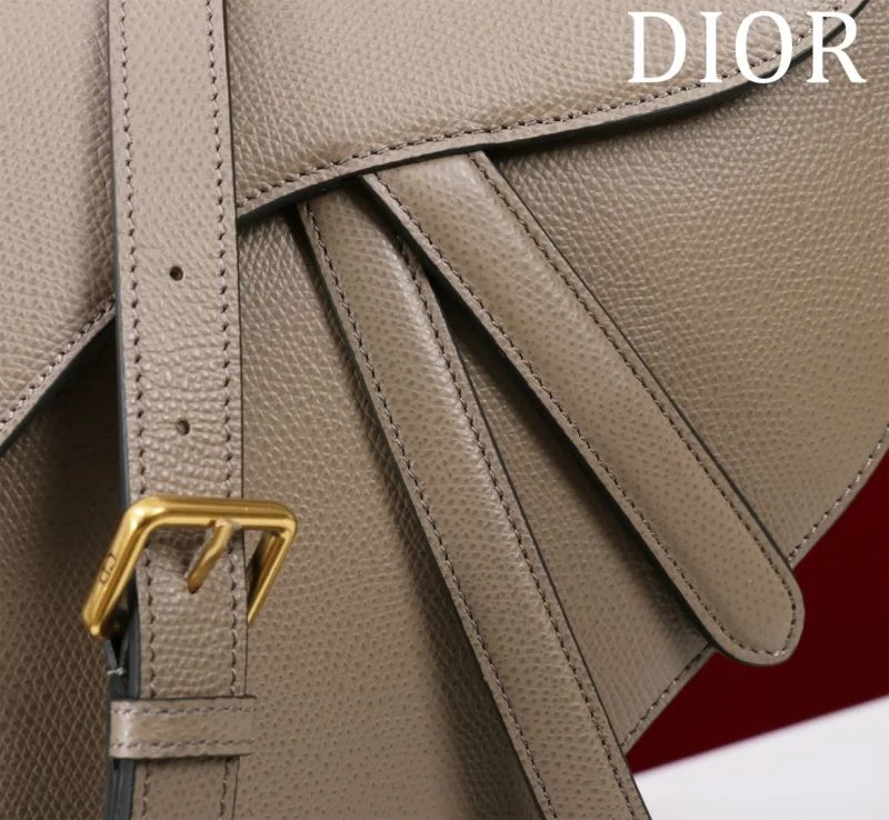 Reliable Christian Dior Saddle bags 47196