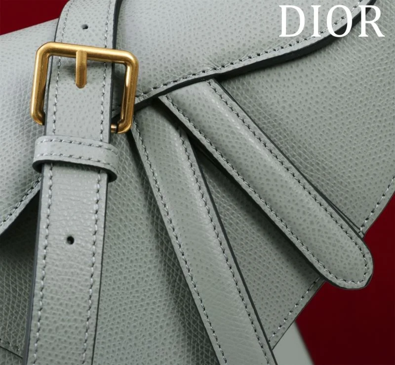 Modern Christian Dior Saddle bags 47200