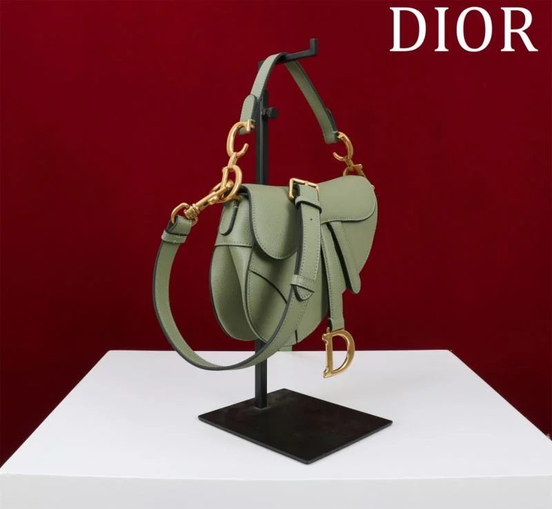 Classic Christian Dior Saddle bags 47199