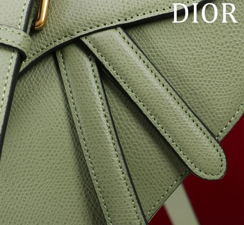 Classic Christian Dior Saddle bags 47199