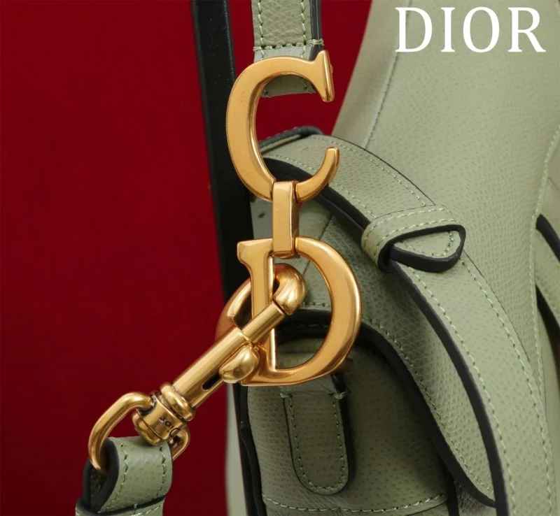 Classic Christian Dior Saddle bags 47199