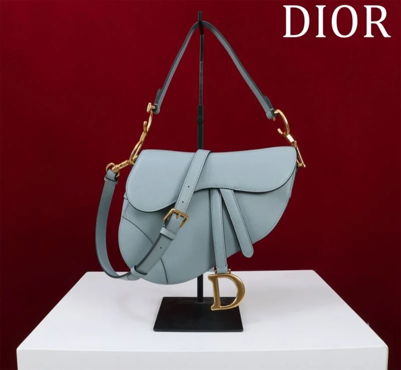 Christian Dior Saddle bags Refined 47191