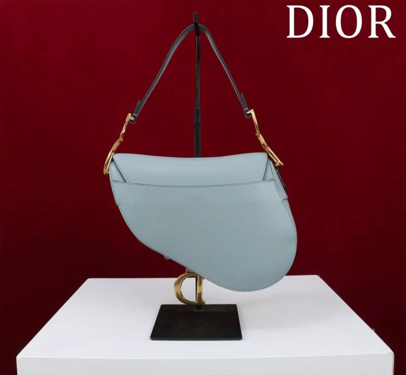 Christian Dior Saddle bags Refined 47191