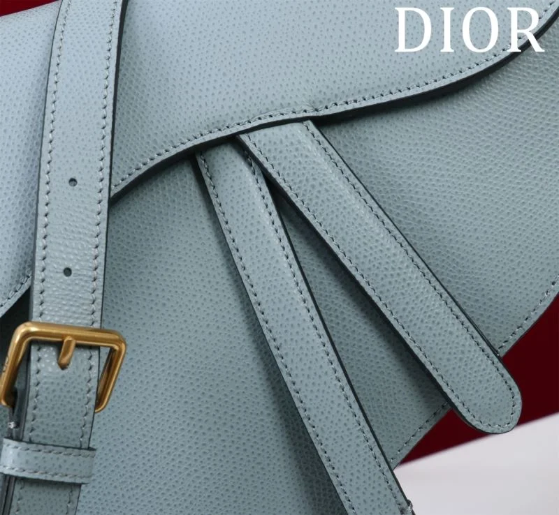 Christian Dior Saddle bags Refined 47191