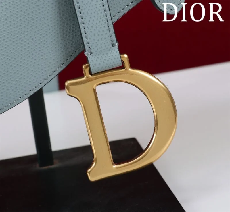 Christian Dior Saddle bags Refined 47191