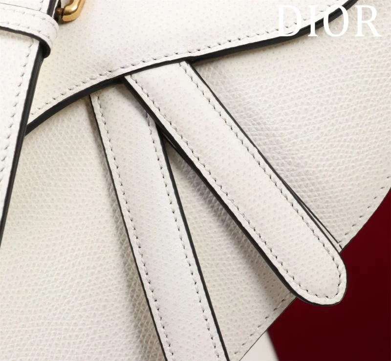 Christian Dior Saddle bags SportInspired 47189