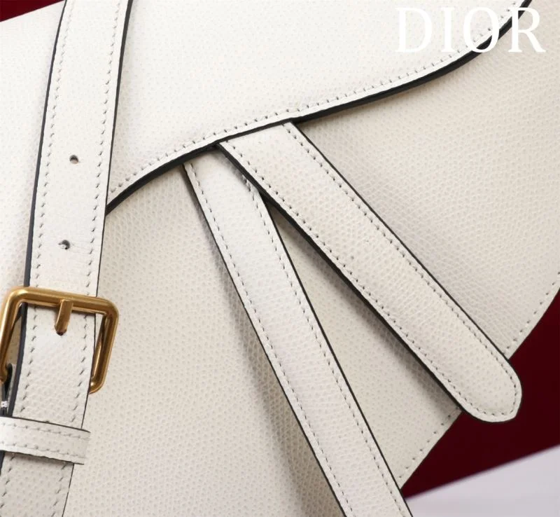Christian Dior Saddle bags Flexible 47187