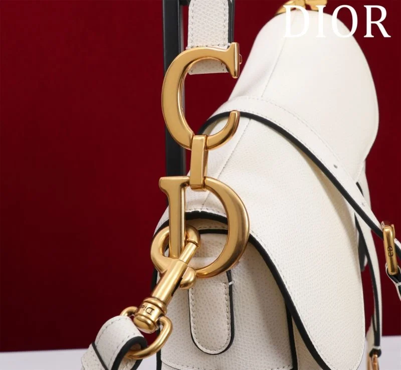 Christian Dior Saddle bags Flexible 47187