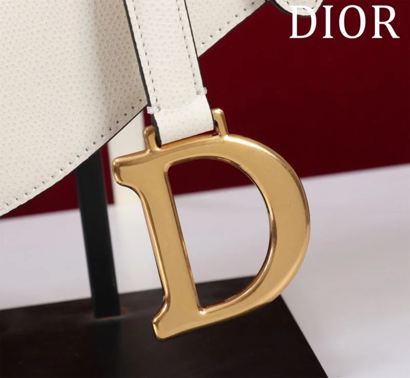 Christian Dior Saddle bags Flexible 47187