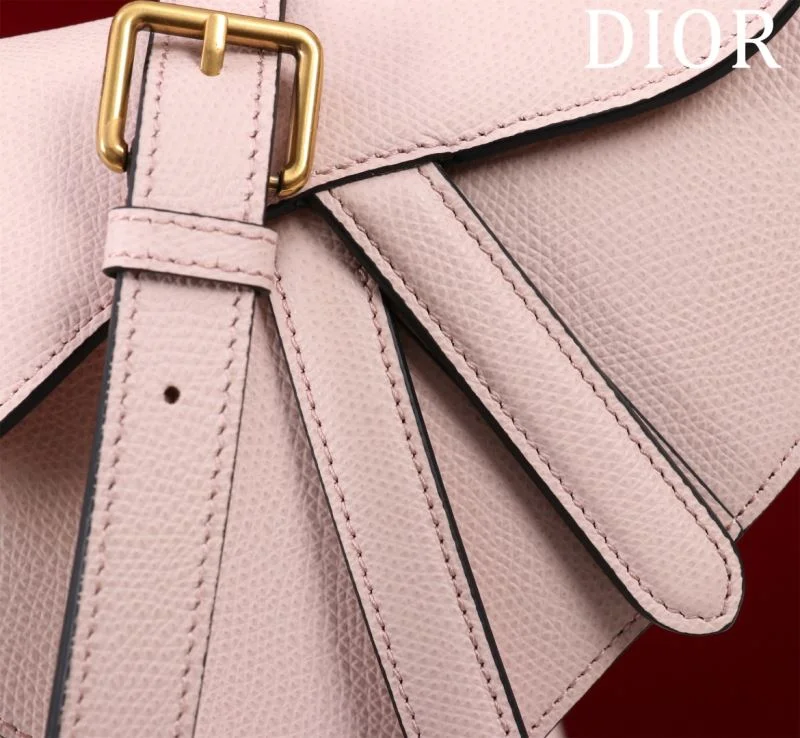 Christian Dior Saddle bags Snug 47228