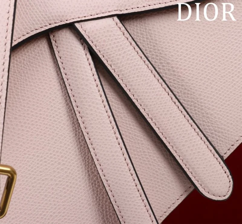 Christian Dior Saddle bags Comfortable 47185