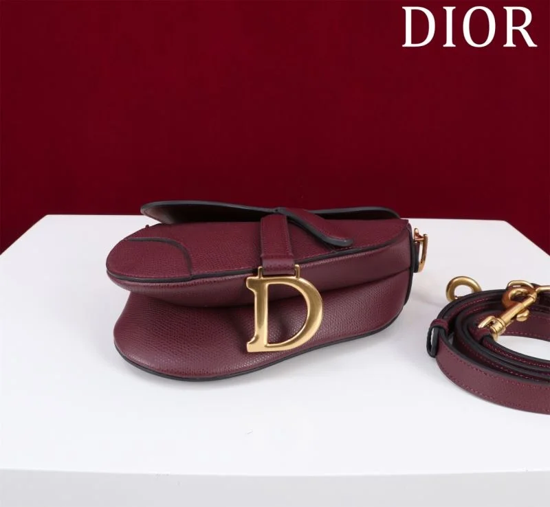 MultiPurpose Christian Dior Saddle bags 47180