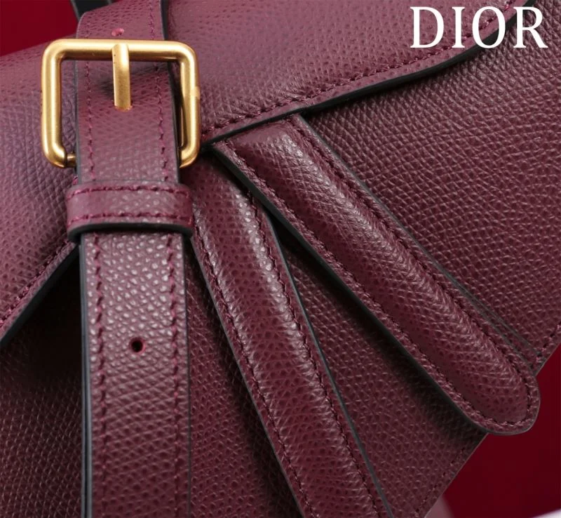 MultiPurpose Christian Dior Saddle bags 47180