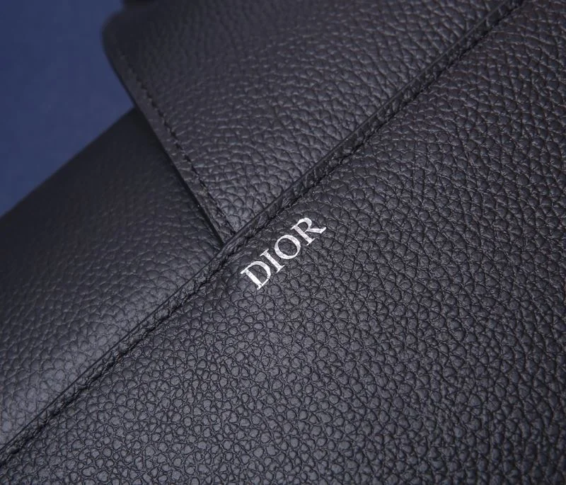 DailyWear Christian Dior Saddle bags 47183