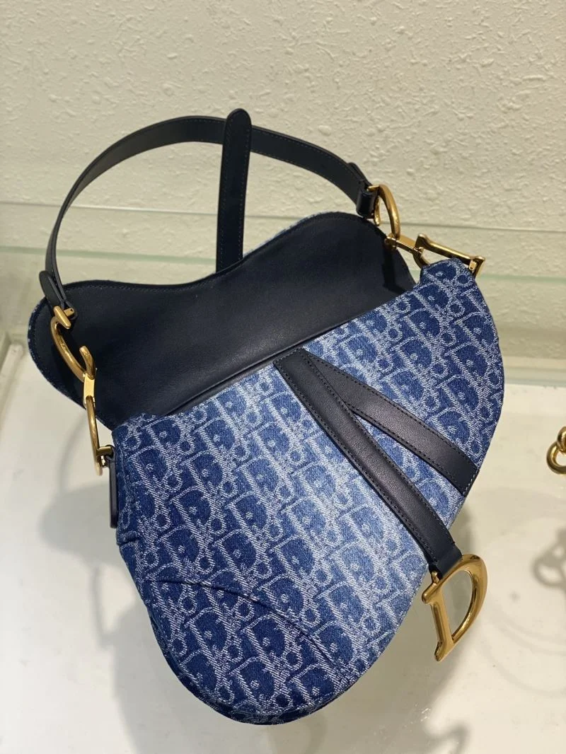 Christian Dior Saddle bags Cozy 47201