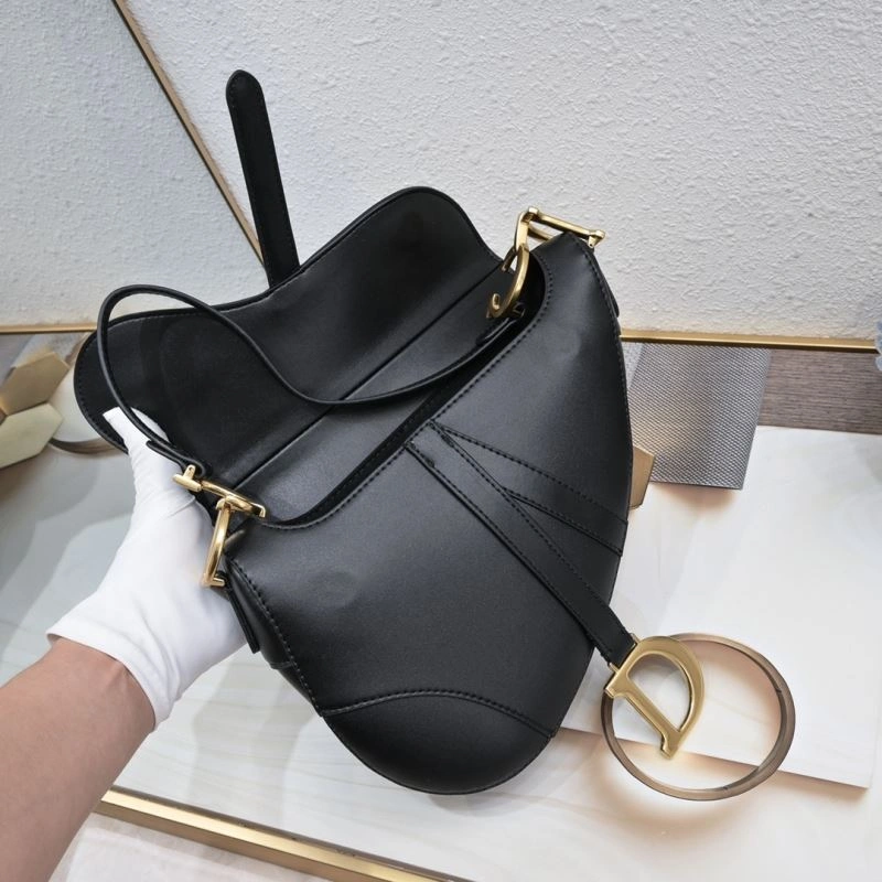 Christian Dior Saddle bags AllSeason 85705