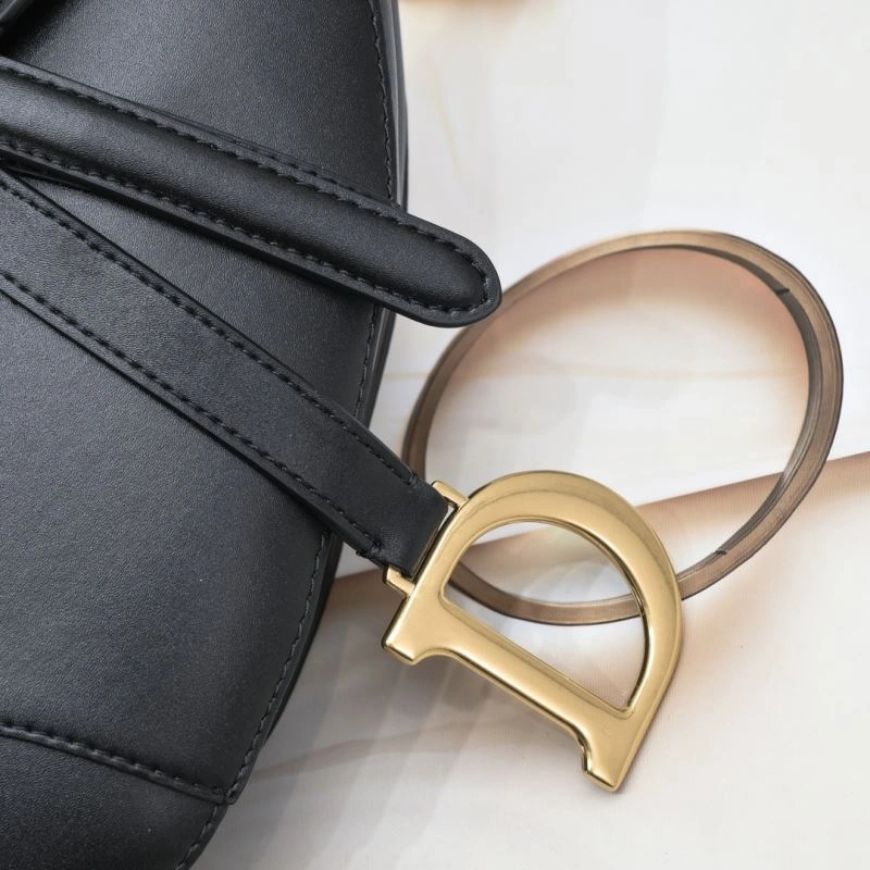 Christian Dior Saddle bags AllSeason 85705