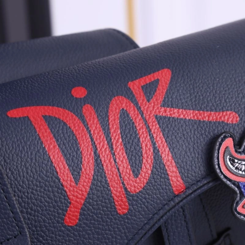 Contemporary Christian Dior Saddle bags 85737