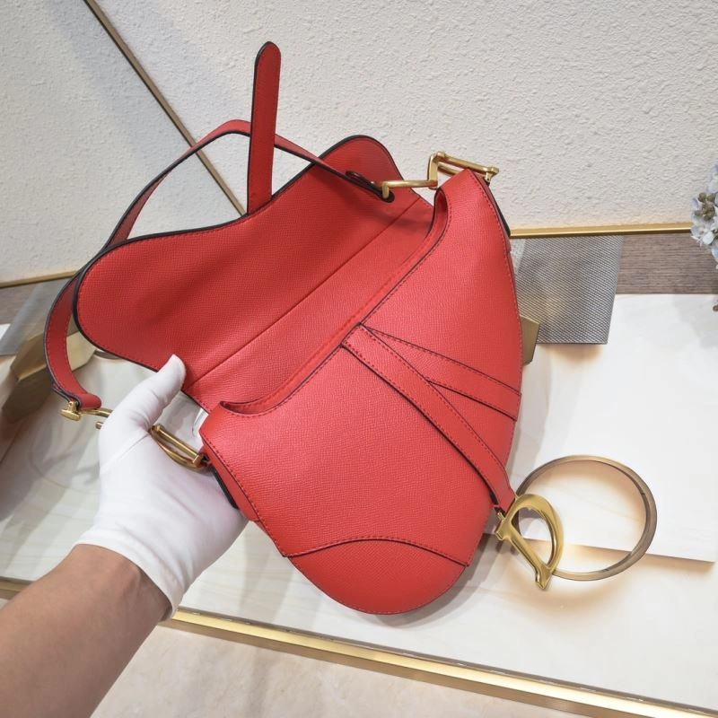 Christian Dior Saddle bags ComfortFit 85730