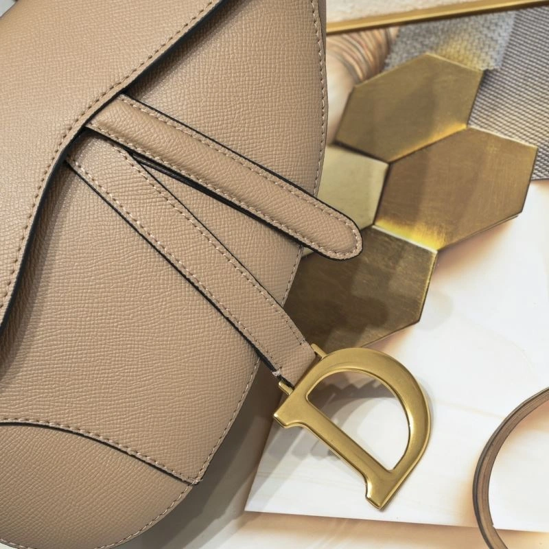 Christian Dior Saddle bags AllSeason 85690
