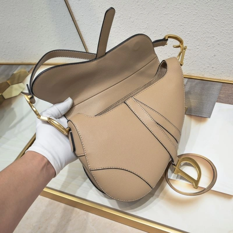 Christian Dior Saddle bags AllSeason 85690