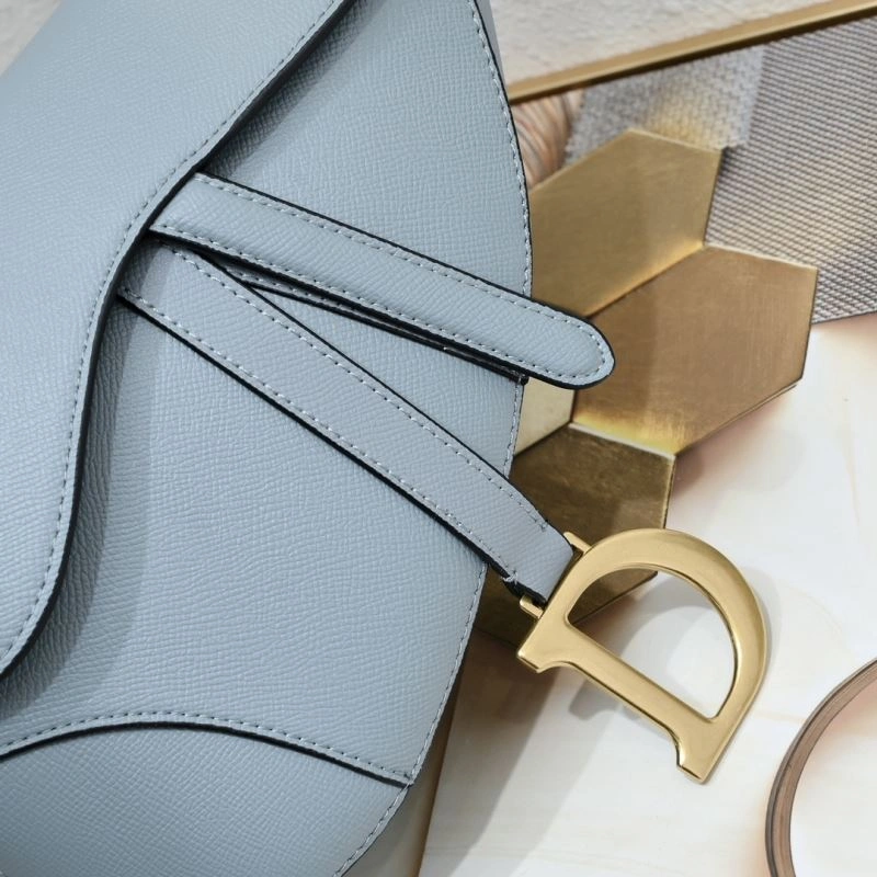 Christian Dior Saddle bags Flexible 85728