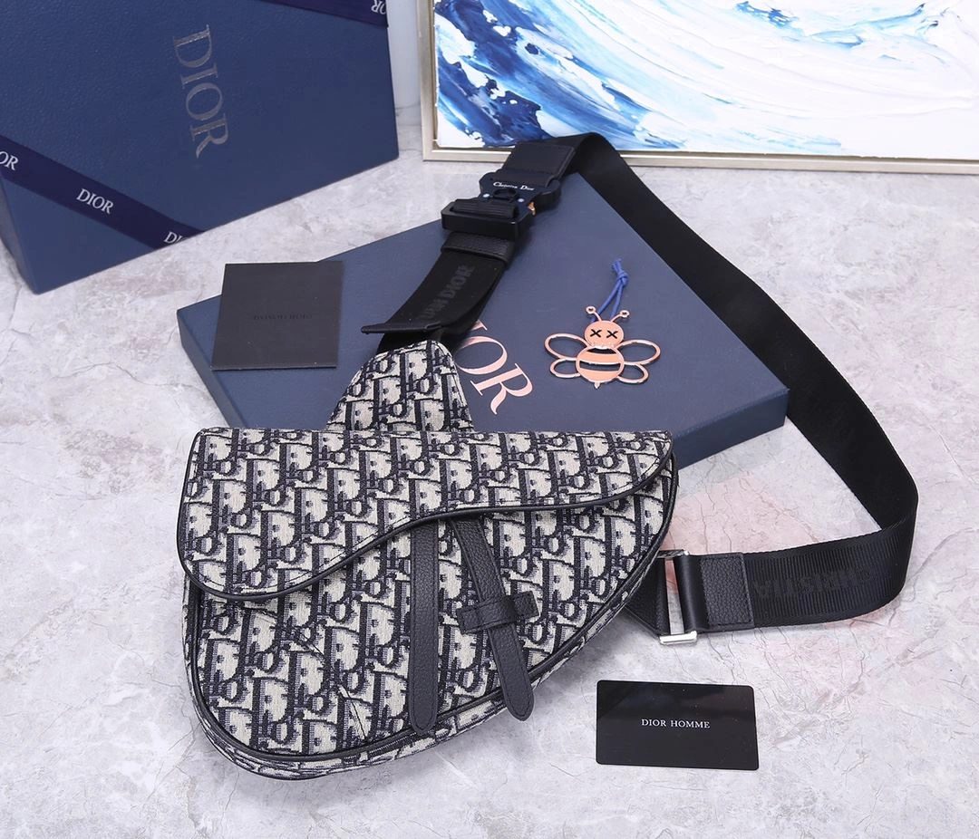 Christian Dior Saddle bags Resilient 92203