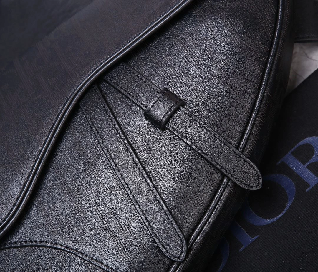 EyeCatching Christian Dior Saddle bags 92199