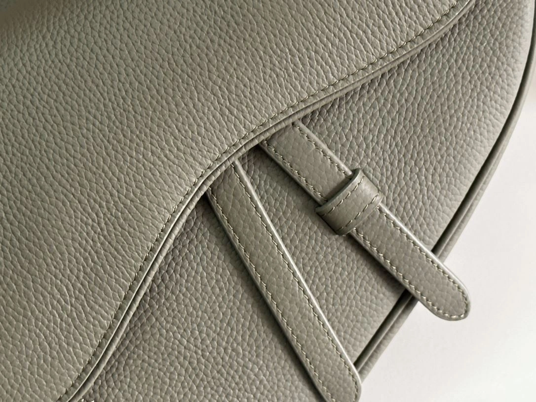 Resilient Christian Dior Saddle bags 92215