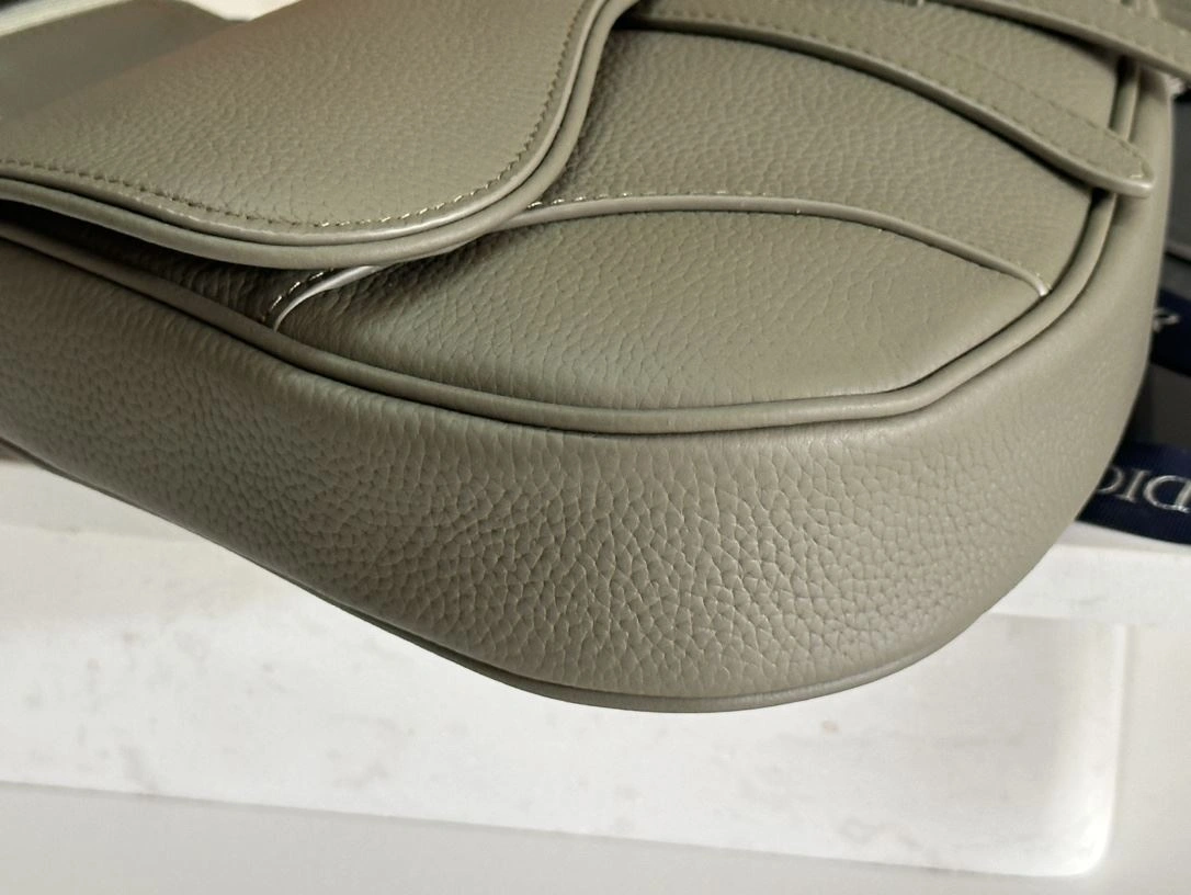 Resilient Christian Dior Saddle bags 92215