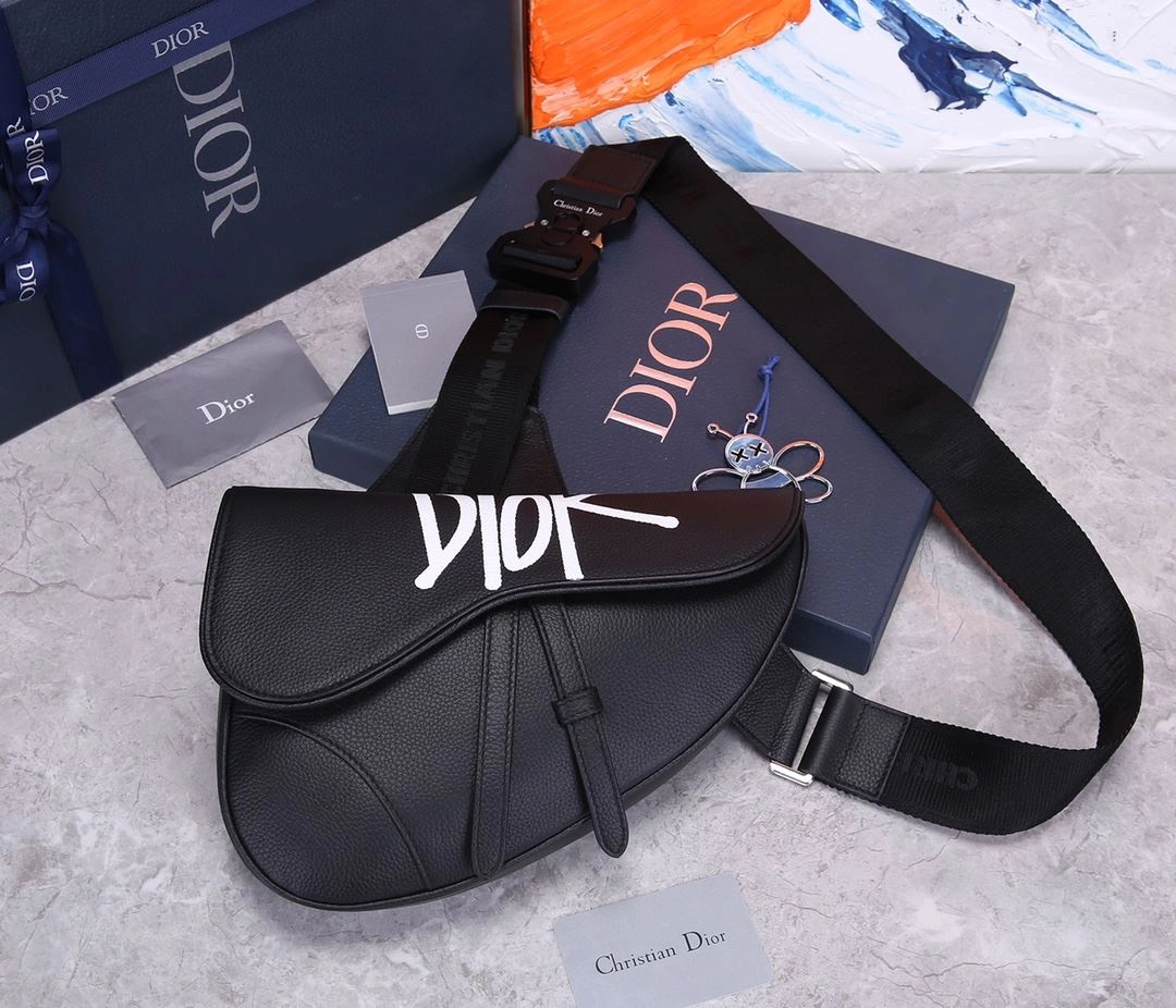 Christian Dior Saddle bags EasyCare 92195