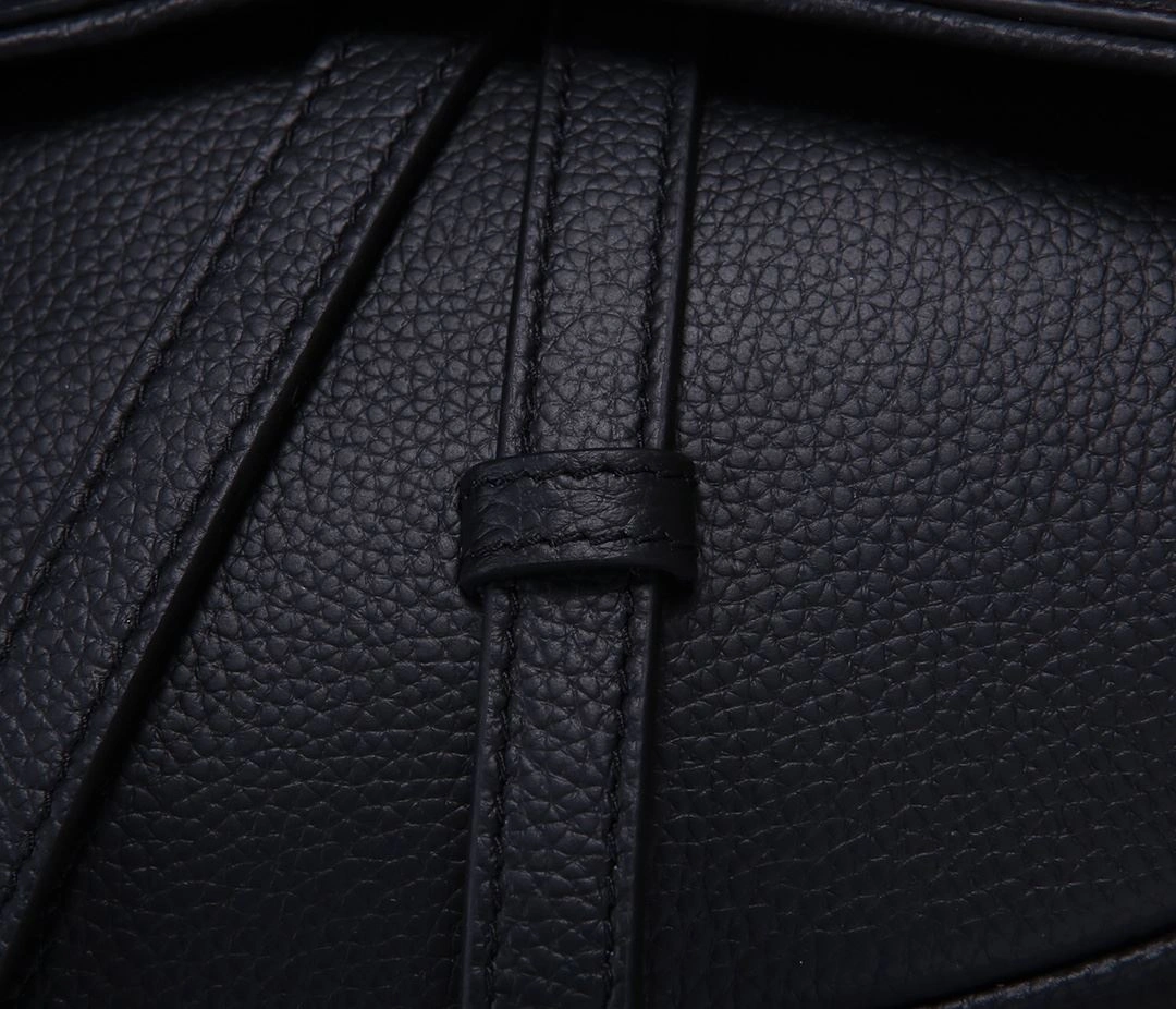Christian Dior Saddle bags EasyCare 92195