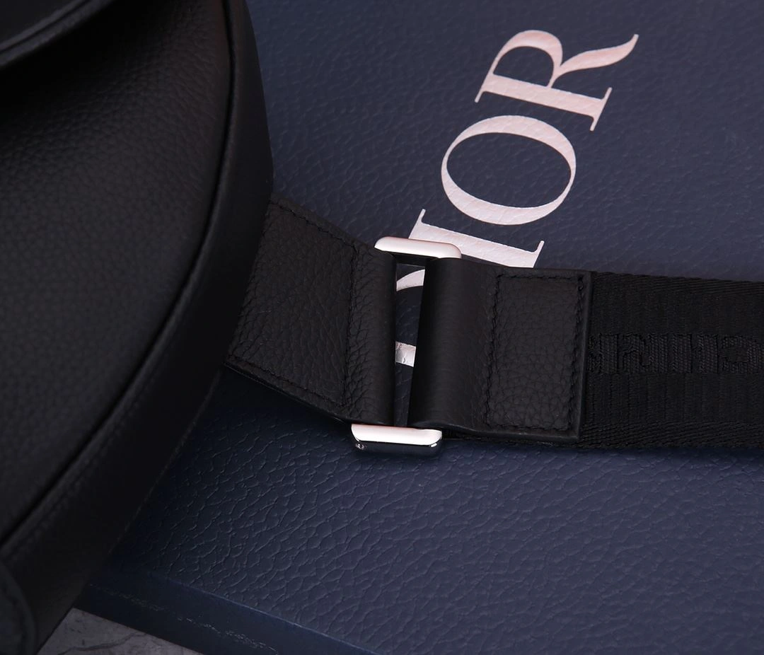 Christian Dior Saddle bags EasyCare 92195