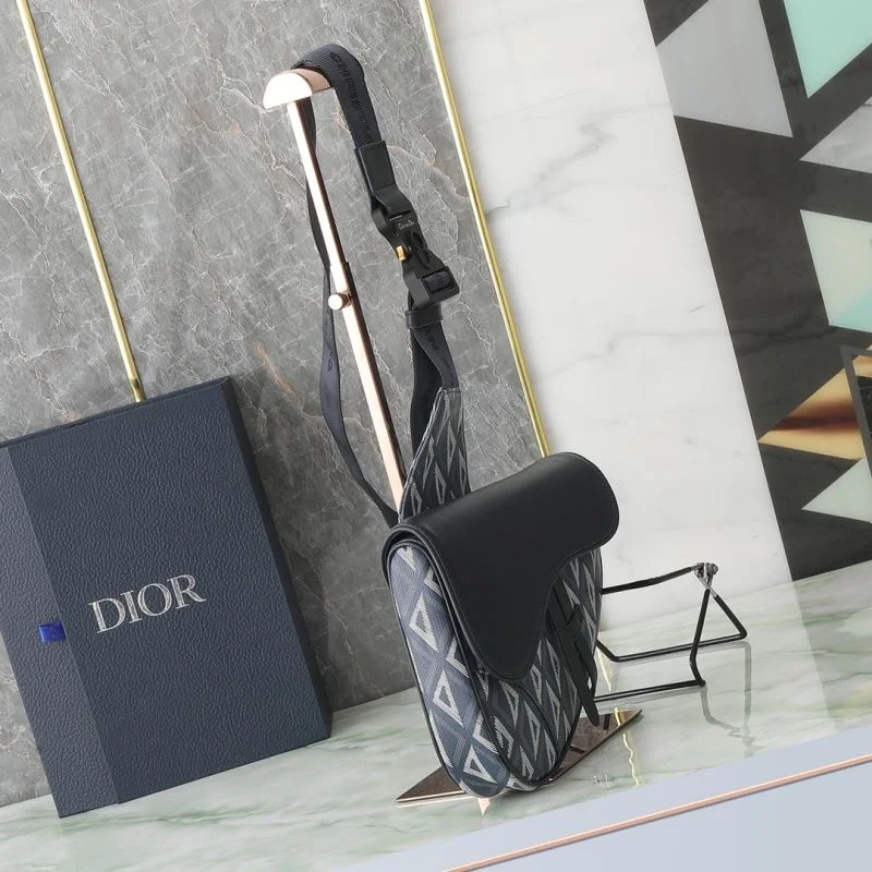 Christian Dior Saddle bags Sophisticated 46354