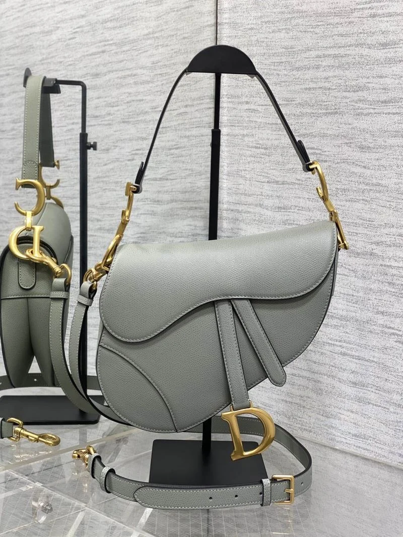 Efficient Christian Dior Saddle bags 46355