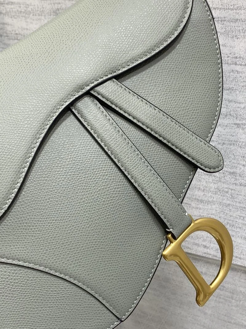Efficient Christian Dior Saddle bags 46355