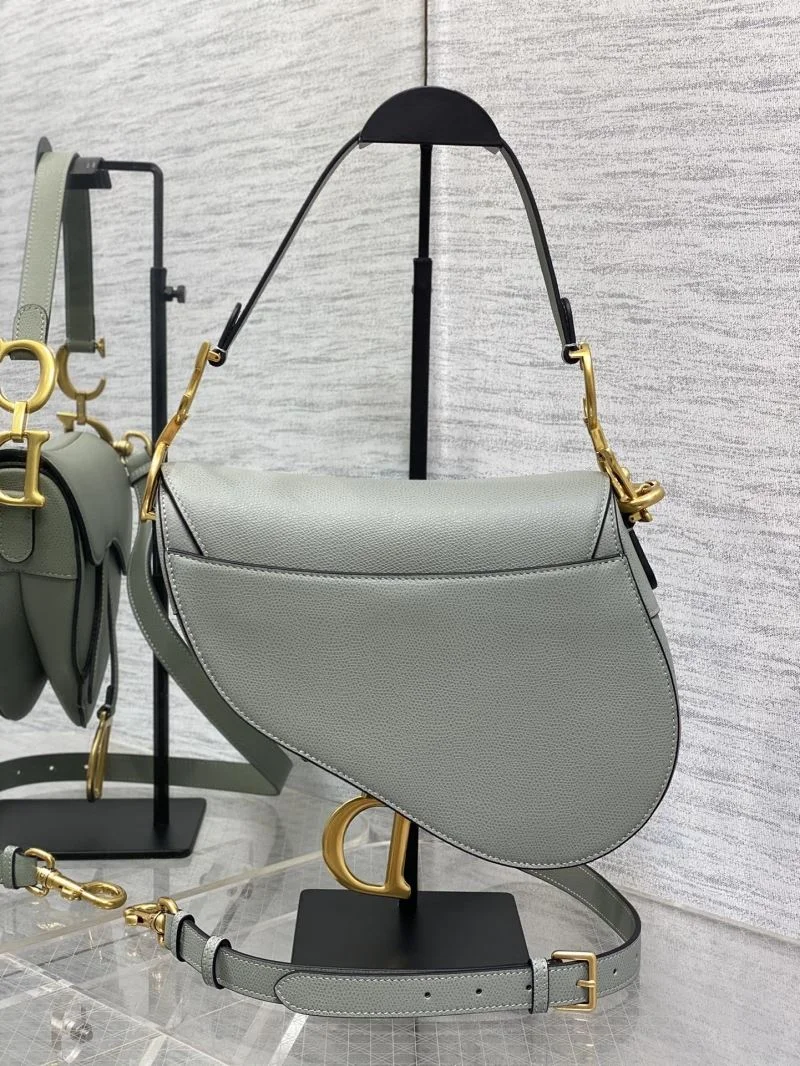Efficient Christian Dior Saddle bags 46355