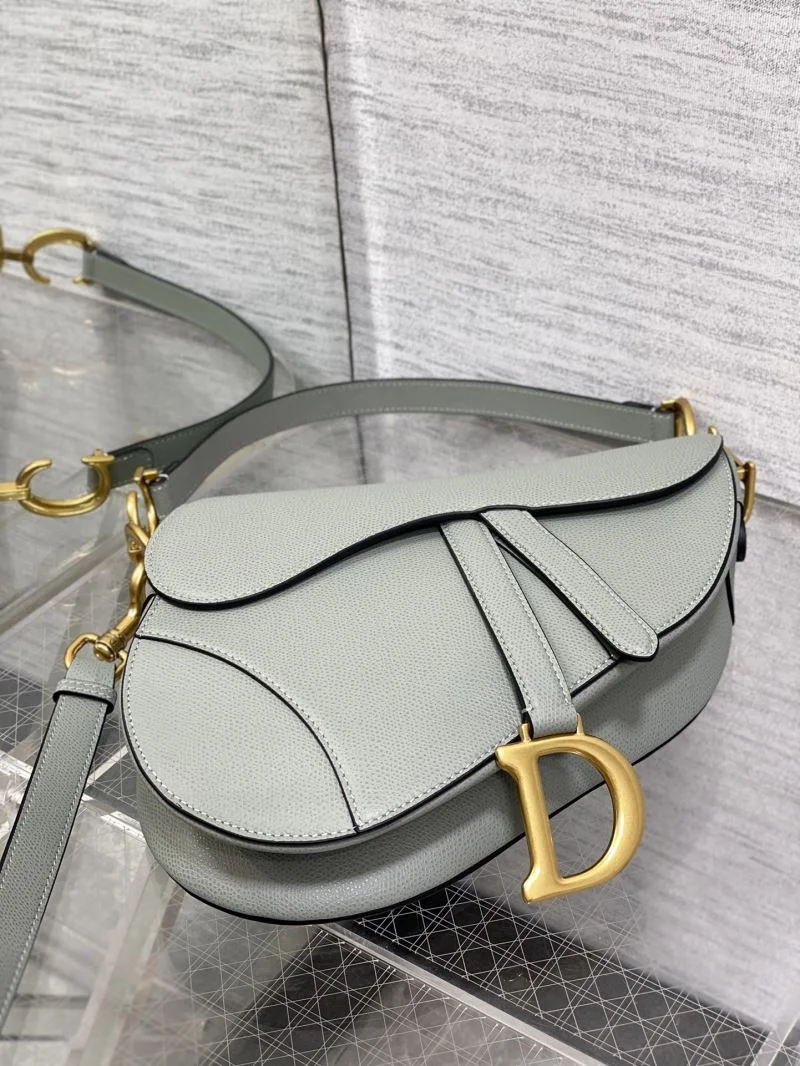 Efficient Christian Dior Saddle bags 46355