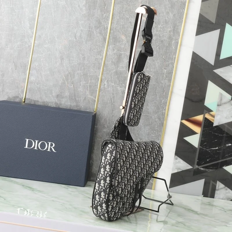 Christian Dior Saddle bags EasyCare 46366