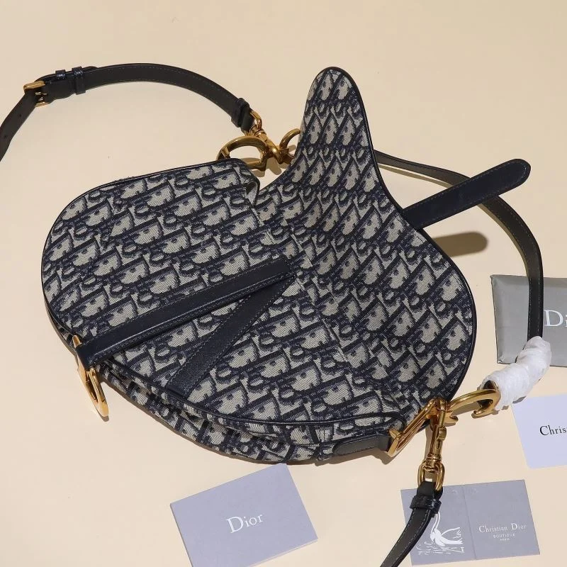Christian Dior Saddle bags Effortless 46353